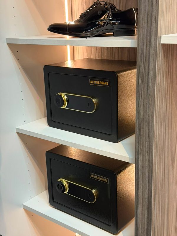 Closet accessories built into the storage plan: in-closet safes on LED-lit shelves with a shoe shelf above