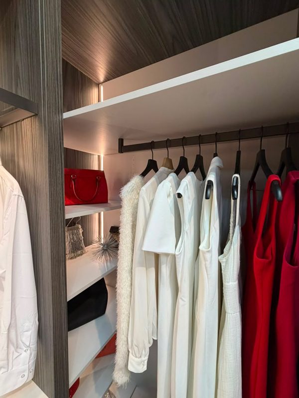 LED-lit shelving in a compact closet with a hanging rod for short garments and open shelves for handbags